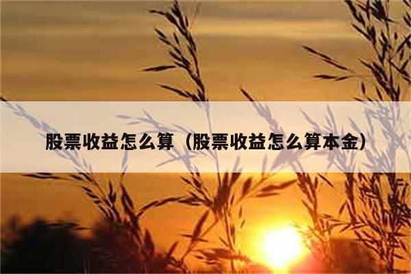 股票收益怎么算（股票收益怎么算本金） 