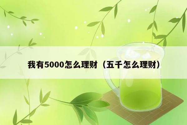 我有5000怎么理财（五千怎么理财） 