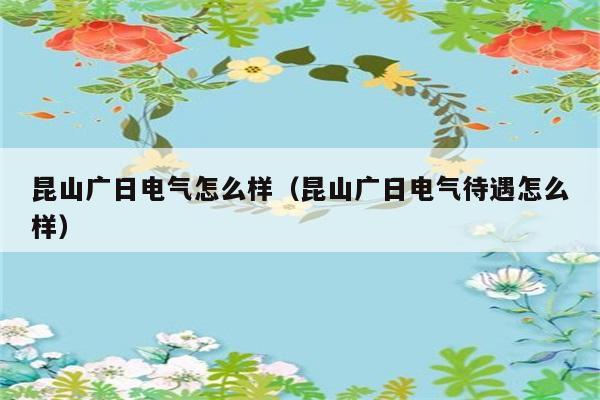 昆山广日电气怎么样（昆山广日电气待遇怎么样） 