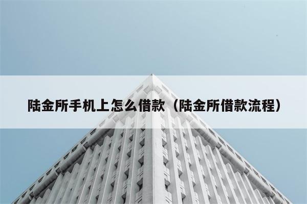 陆金所手机上怎么借款（陆金所借款流程） 