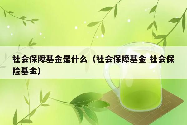 社会保障基金是什么（社会保障基金 社会保险基金） 