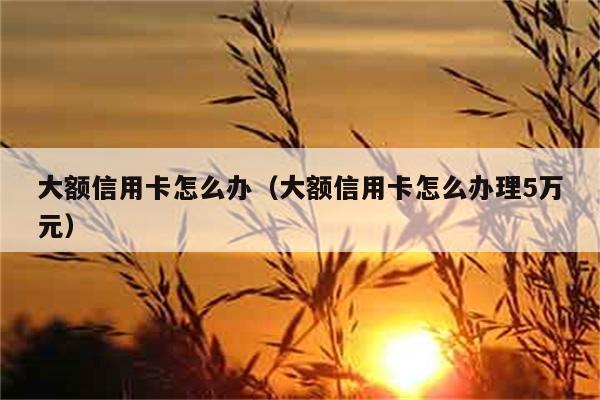 大额信用卡怎么办（大额信用卡怎么办理5万元） 