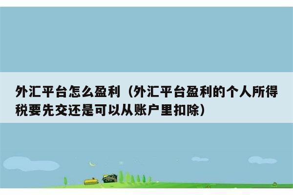 外汇平台怎么盈利（外汇平台盈利的个人所得税要先交还是可以从账户里扣除） 