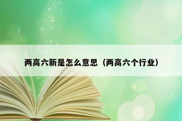 两高六新是怎么意思（两高六个行业） 