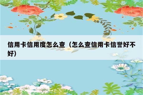 信用卡信用度怎么查（怎么查信用卡信誉好不好） 