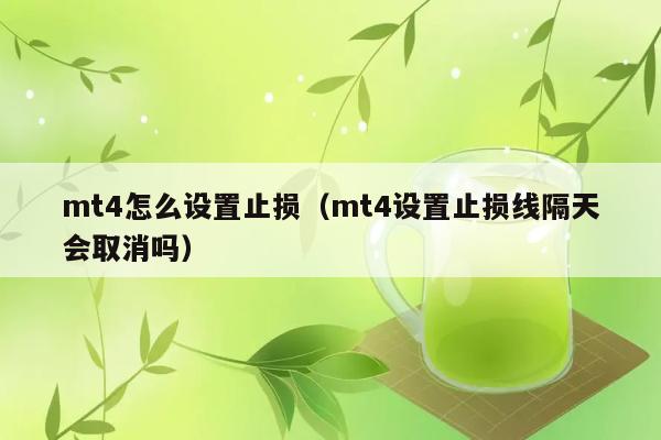 mt4怎么设置止损（mt4设置止损线隔天会取消吗） 