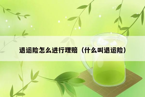 退运险怎么进行理赔（什么叫退运险） 