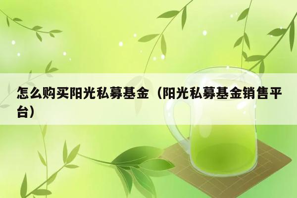 怎么购买阳光私募基金（阳光私募基金销售平台） 