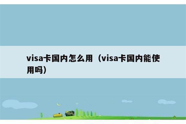 visa卡国内怎么用（visa卡国内能使用吗） 