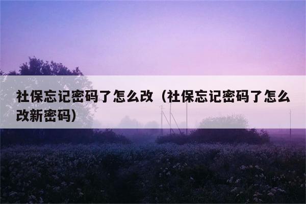 社保忘记密码了怎么改（社保忘记密码了怎么改新密码） 