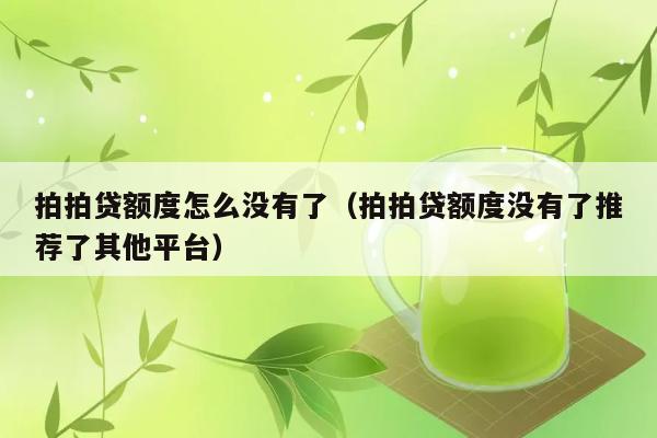 拍拍贷额度怎么没有了（拍拍贷额度没有了推荐了其他平台） 