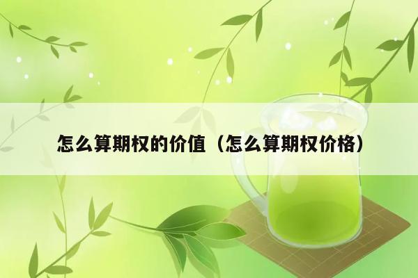 怎么算期权的价值（怎么算期权价格） 