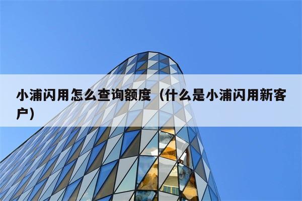 小浦闪用怎么查询额度（什么是小浦闪用新客户） 