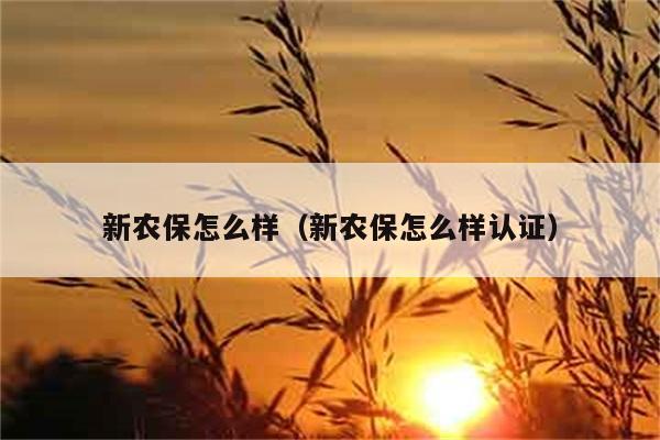 新农保怎么样（新农保怎么样认证） 