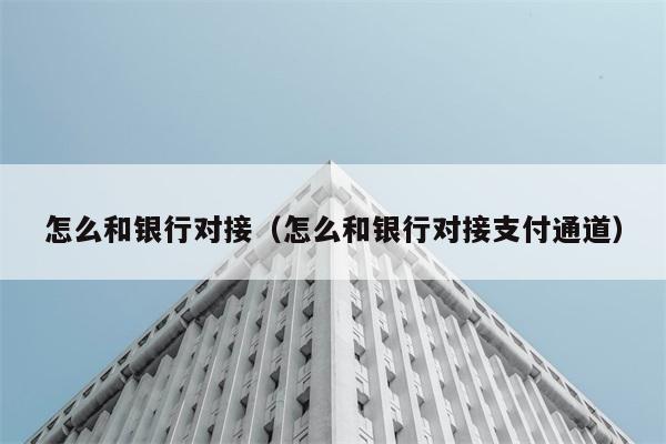 怎么和银行对接（怎么和银行对接支付通道） 