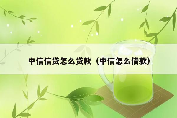 中信信贷怎么贷款（中信怎么借款） 