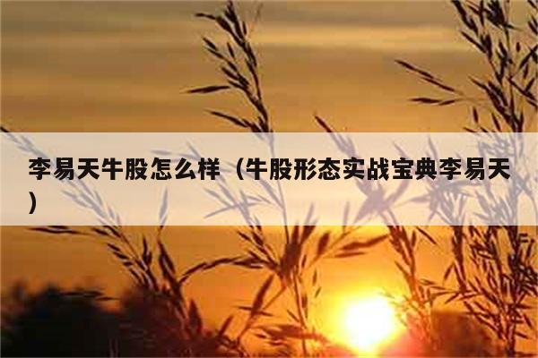 李易天牛股怎么样（牛股形态实战宝典李易天） 