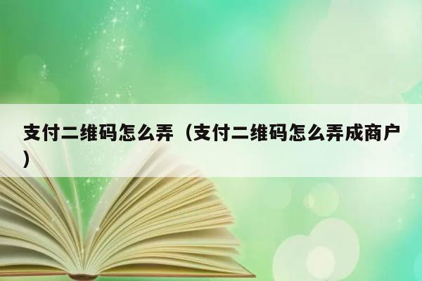 支付二维码怎么弄（支付二维码怎么弄成商户） 