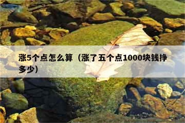 涨5个点怎么算（涨了五个点1000块钱挣多少） 