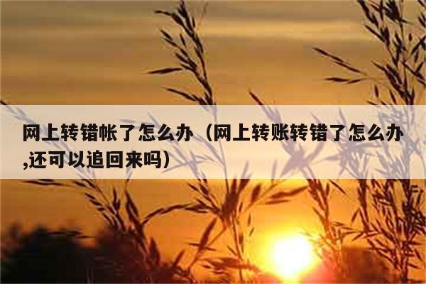 网上转错帐了怎么办（网上转账转错了怎么办,还可以追回来吗） 