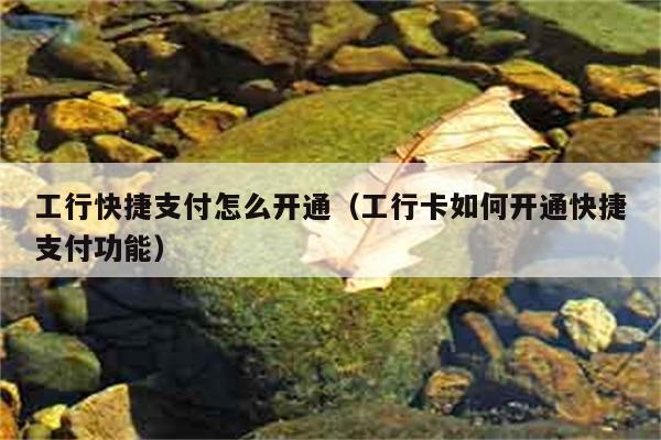 工行快捷支付怎么开通（工行卡如何开通快捷支付功能） 