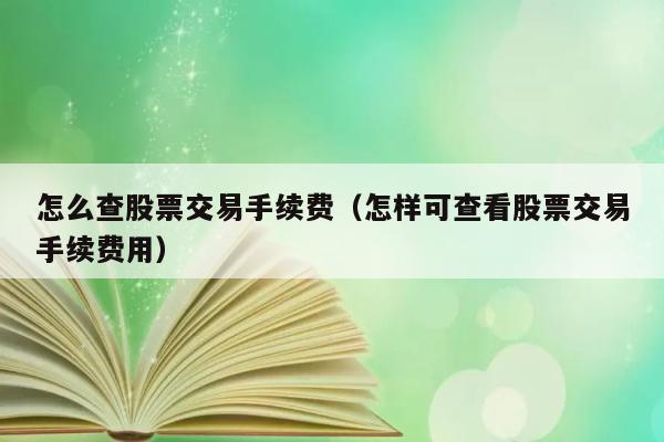 怎么查股票交易手续费（怎样可查看股票交易手续费用） 