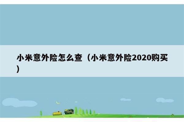 小米意外险怎么查（小米意外险2020购买） 