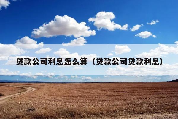 贷款公司利息怎么算（贷款公司贷款利息） 