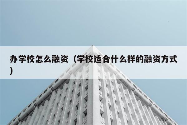 办学校怎么融资（学校适合什么样的融资方式） 