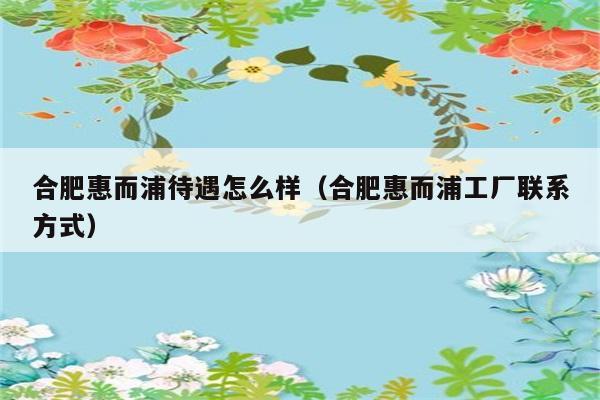 合肥惠而浦待遇怎么样（合肥惠而浦工厂联系方式） 