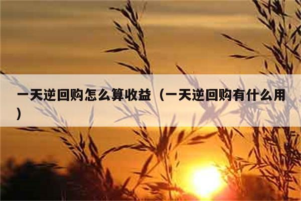 一天逆回购怎么算收益（一天逆回购有什么用） 