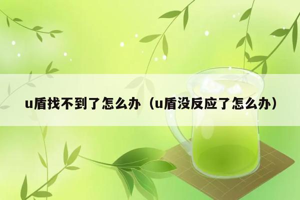 u盾找不到了怎么办（u盾没反应了怎么办） 