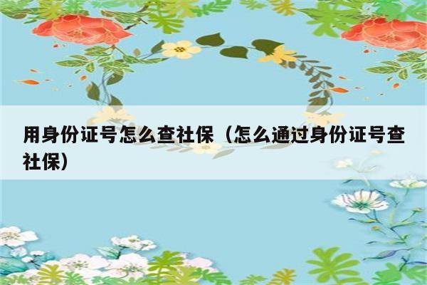 用身份证号怎么查社保（怎么通过身份证号查社保） 