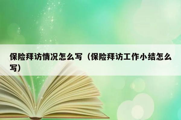 保险拜访情况怎么写（保险拜访工作小结怎么写） 