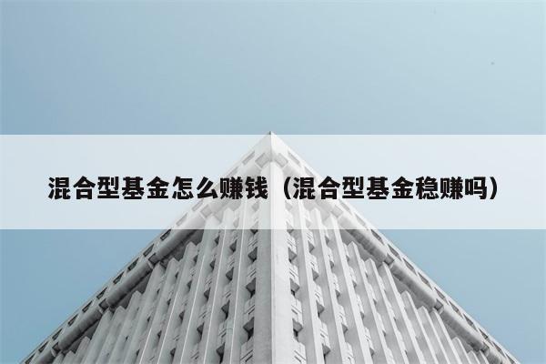 混合型基金怎么赚钱（混合型基金稳赚吗） 