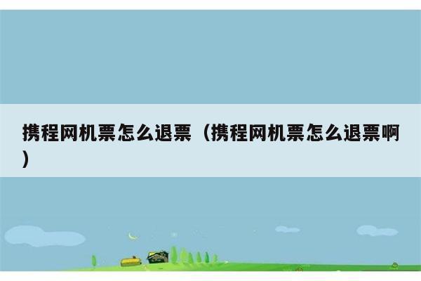 携程网机票怎么退票（携程网机票怎么退票啊） 