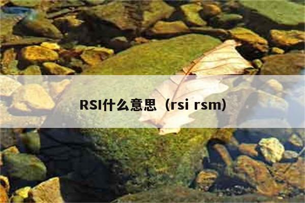 RSI什么意思（rsi rsm） 