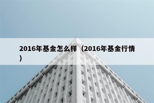 2016年基金怎么样（2016年基金行情） 