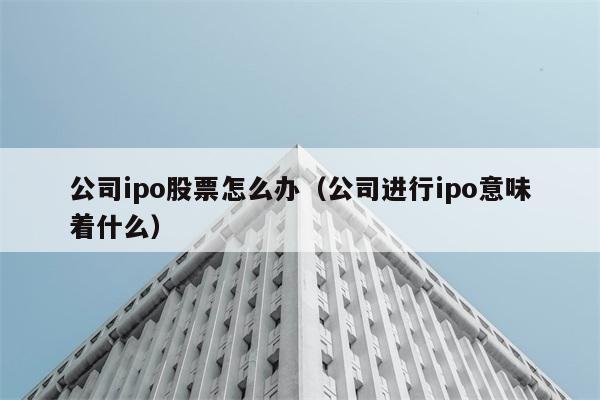 公司ipo股票怎么办（公司进行ipo意味着什么） 