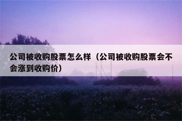 公司被收购股票怎么样（公司被收购股票会不会涨到收购价） 