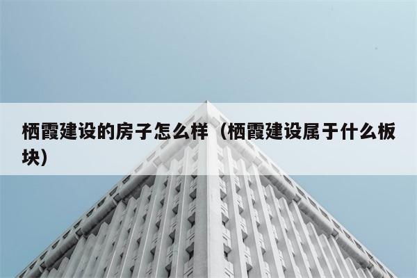 栖霞建设的房子怎么样（栖霞建设属于什么板块） 