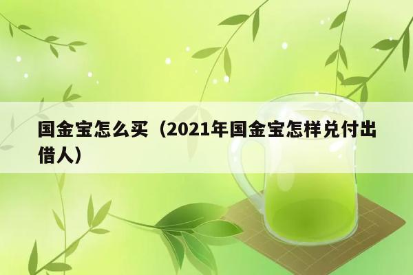 国金宝怎么买（2021年国金宝怎样兑付出借人） 