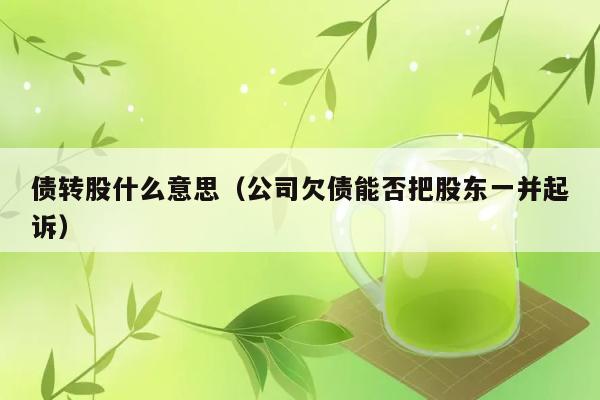 债转股什么意思（公司欠债能否把股东一并起诉） 