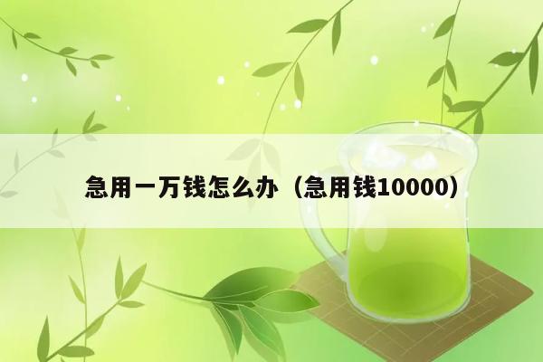 急用一万钱怎么办（急用钱10000） 