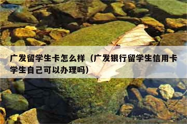 广发留学生卡怎么样（广发银行留学生信用卡学生自己可以办理吗） 