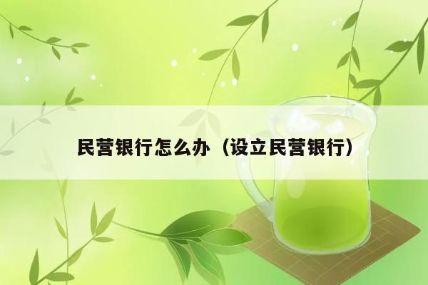 民营银行怎么办（设立民营银行） 