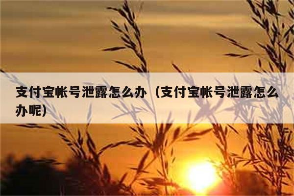 支付宝帐号泄露怎么办（支付宝帐号泄露怎么办呢） 