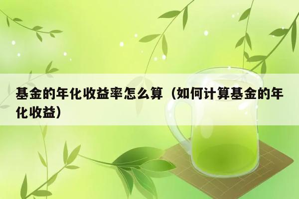 基金的年化收益率怎么算（如何计算基金的年化收益） 