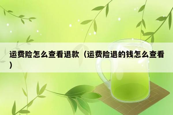 运费险怎么查看退款（运费险退的钱怎么查看） 