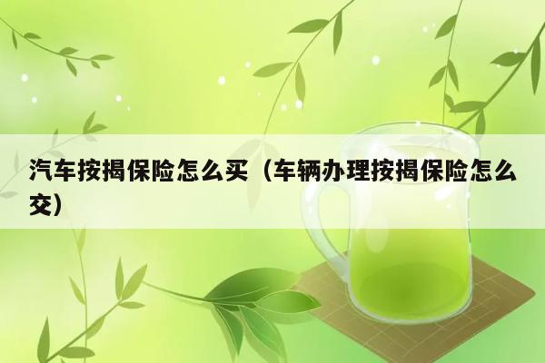 汽车按揭保险怎么买（车辆办理按揭保险怎么交） 